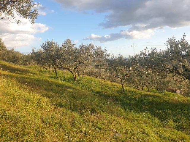 Terreno in vendita a Collesecco, Lugnano In Teverina