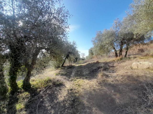 Terreno in vendita a Collesecco, Lugnano In Teverina