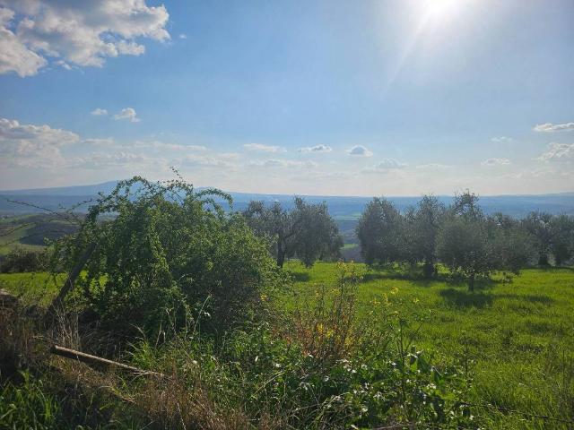 Terreno in vendita a Lugnano In Teverina, Umbria