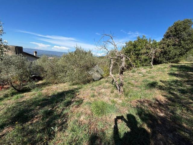Terreno in vendita a Lugnano In Teverina, Umbria