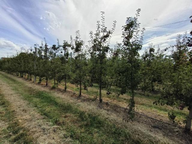Terreno in vendita a Unione dei comuni della Bassa Romagna, Lugo