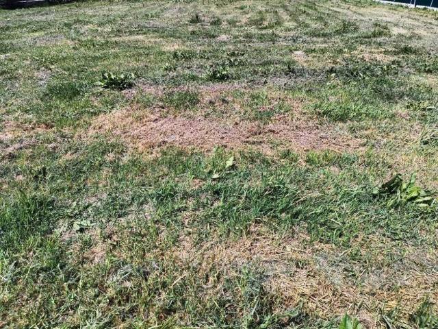 Terreno in vendita a Unione dei comuni della Bassa Romagna, Lugo