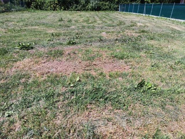Terreno in vendita a Unione dei comuni della Bassa Romagna, Lugo