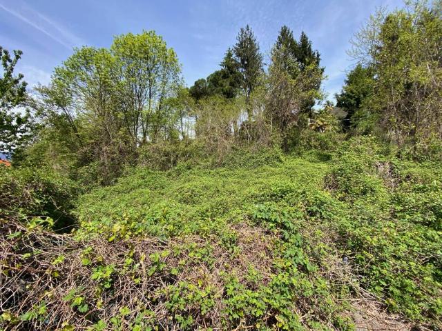 Terreno in vendita a Comunità Montana Valli del Verbano, Luino
