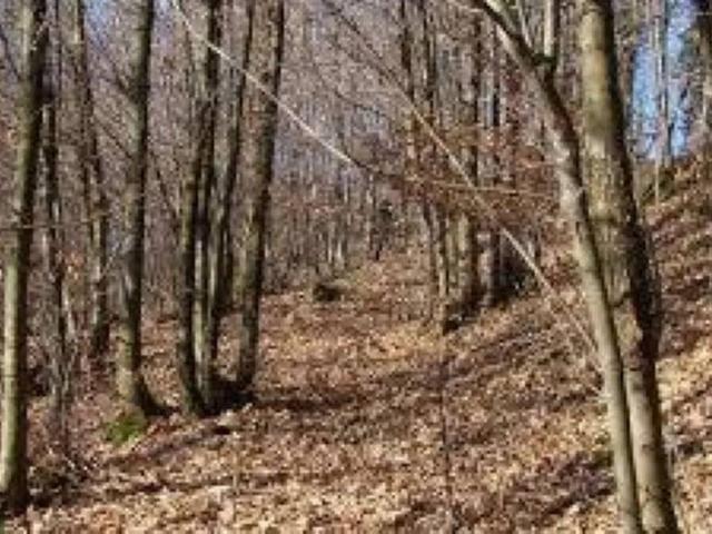 Terreno in vendita a Comunità Montana Valli del Verbano, Luino