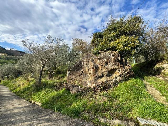 Terreno in vendita a Luni, Liguria