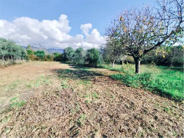 Terreno in vendita a Luni, Liguria