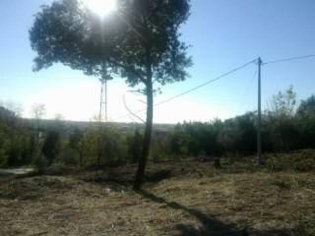 Terreno in vendita a Isola, Luni