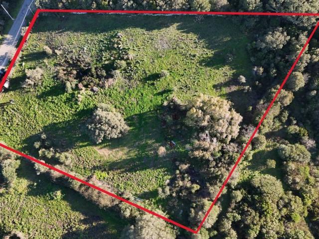 Terreno in vendita a Luogosanto, Sardigna/Sardegna