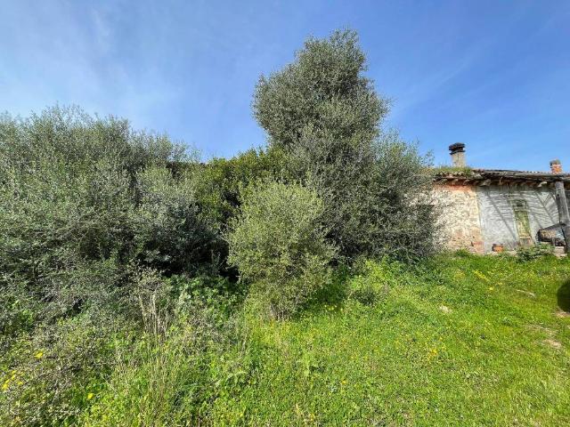 Terreno in vendita a Luogosanto, Sardigna/Sardegna