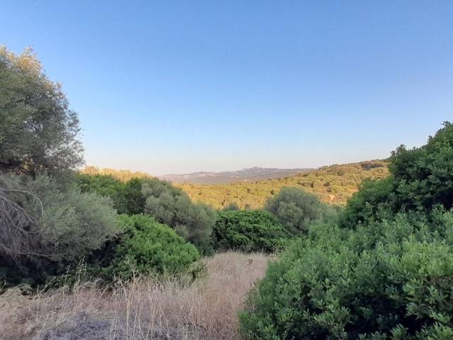 Terreno in vendita a Luogosanto, Sardigna/Sardegna