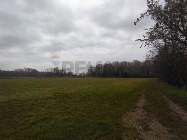 Terreno in vendita a Lurano, Lombardia