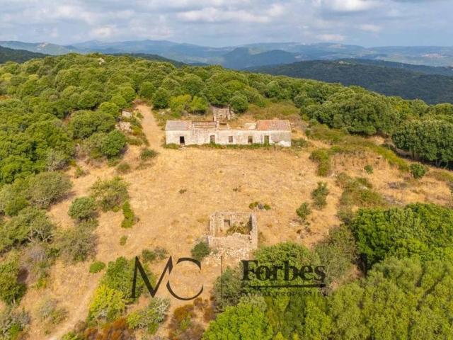 Terreno in vendita a Luras, Sardigna/Sardegna