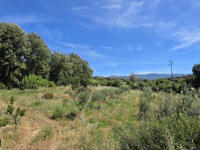 Terreno in vendita a Luras, Sardigna/Sardegna