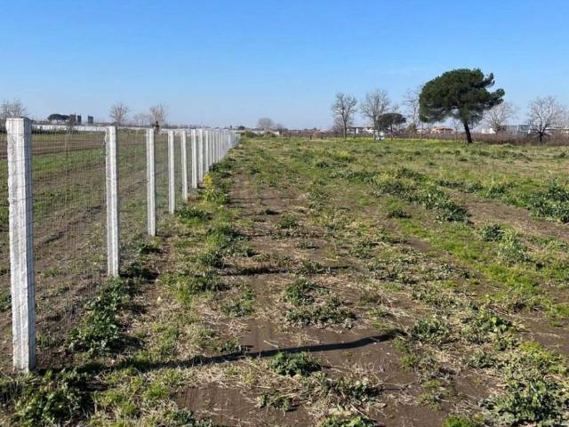 Terreno in vendita a Lusciano, Caserta