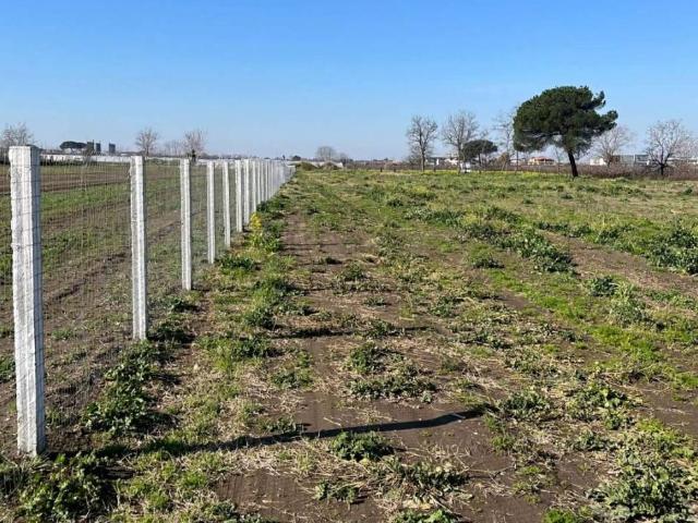 Terreno in vendita a Lusciano, Caserta