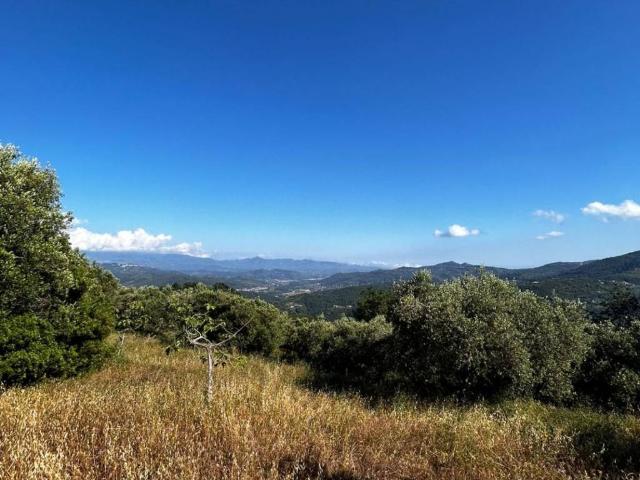 Terreno in vendita a Lustra, Campania