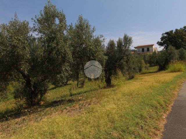 Terreno in vendita a Calabria, Cosenza