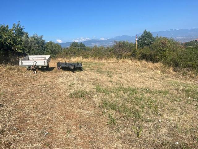 Terreno in vendita a Calabria, Cosenza