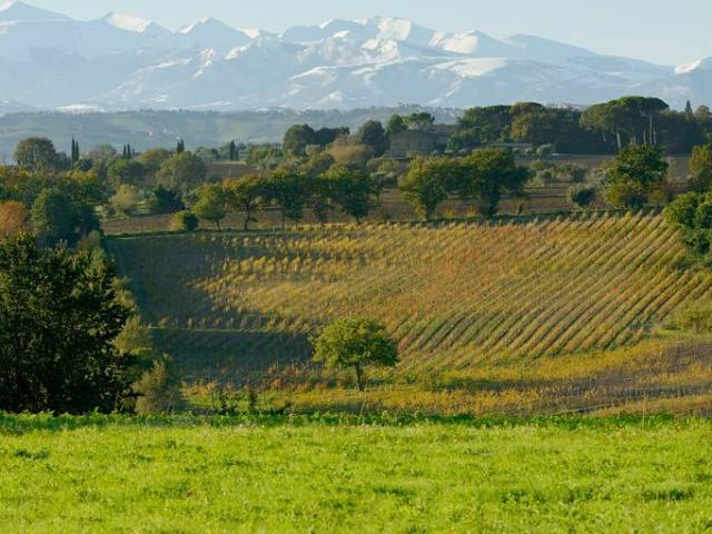 Terreno in vendita a Marche, Macerata