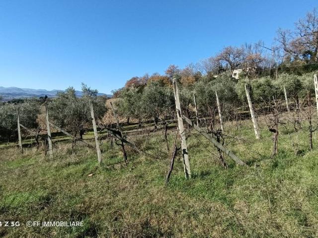 Terreno in vendita a Colleverde, Marche
