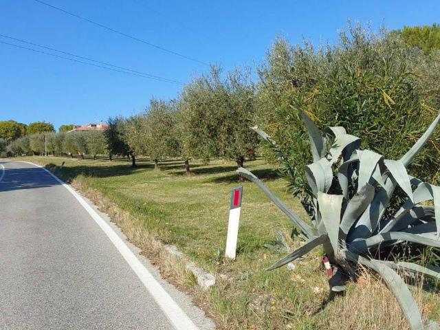 Terreno in vendita a Marche, Macerata