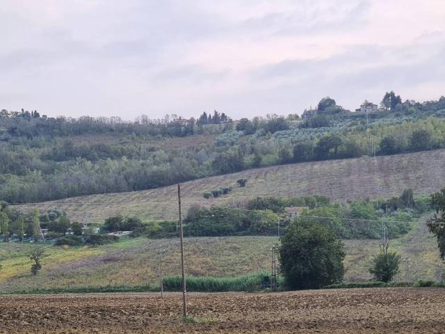 Terreno in vendita a Santa Maria del Monte, Marche