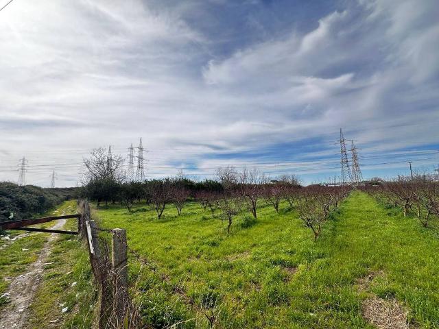 Terreno in vendita a Maddaloni, Campania