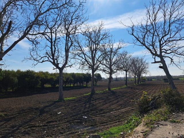 Terreno in vendita a Caserta, Campania