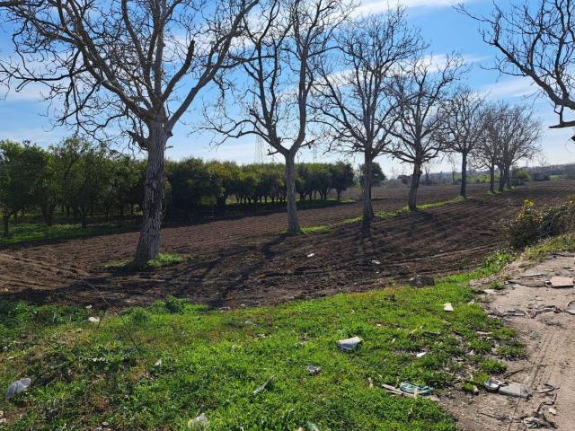 Terreno in vendita a Caserta, Campania