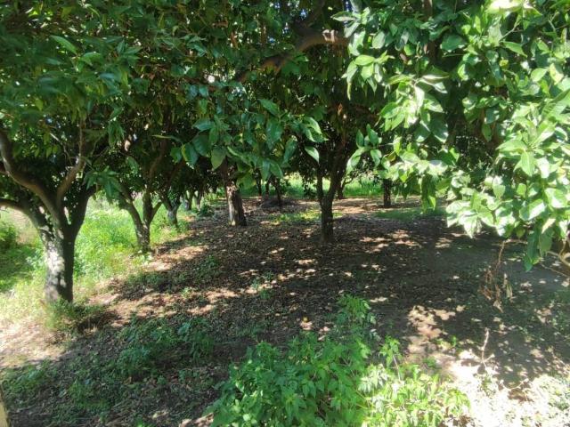 Terreno in vendita a San Marco, Santa Maria A Vico