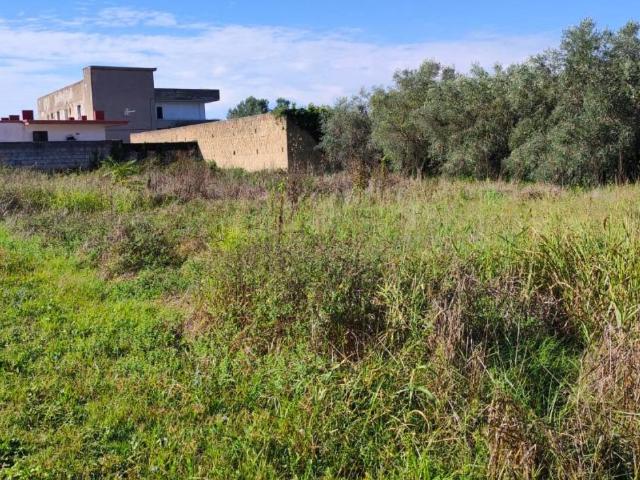 Terreno in vendita a San Marco Evangelista, Campania