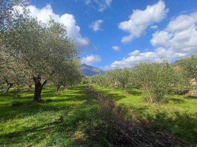 Terreno in vendita a Maenza, Lazio