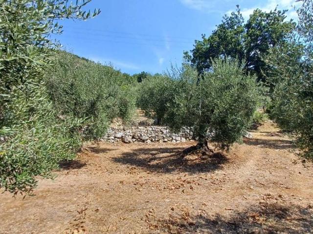 Terreno in vendita a Maenza, Lazio