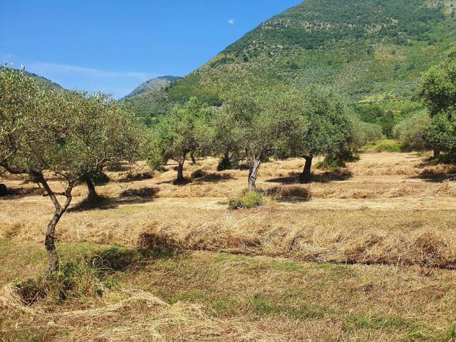 Terreno in vendita a Roccagorga, Lazio