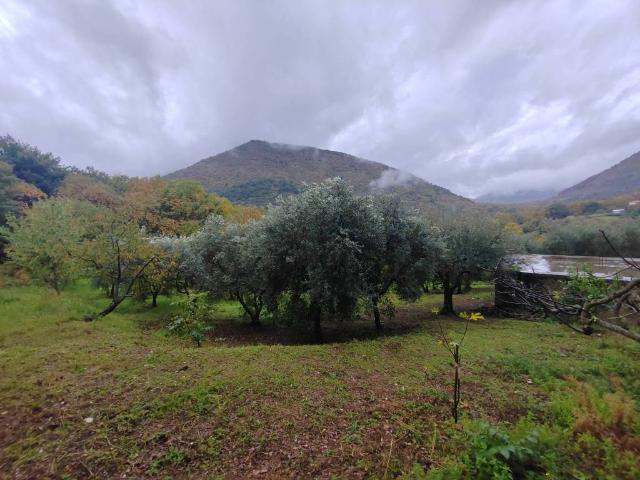 Terreno in vendita a Maenza, Lazio