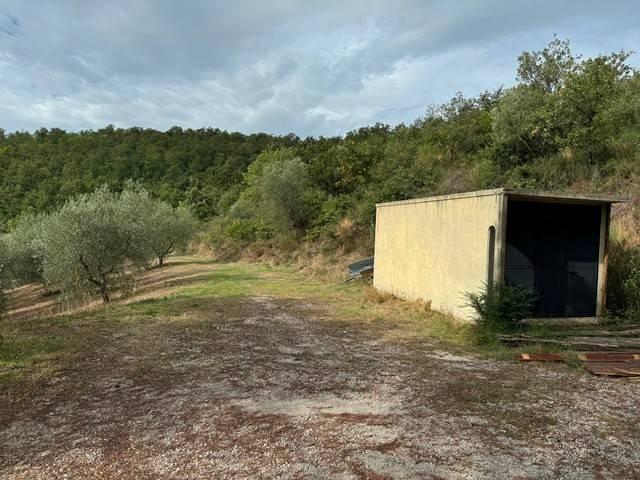 Terreno in vendita a Casenuove, Magione