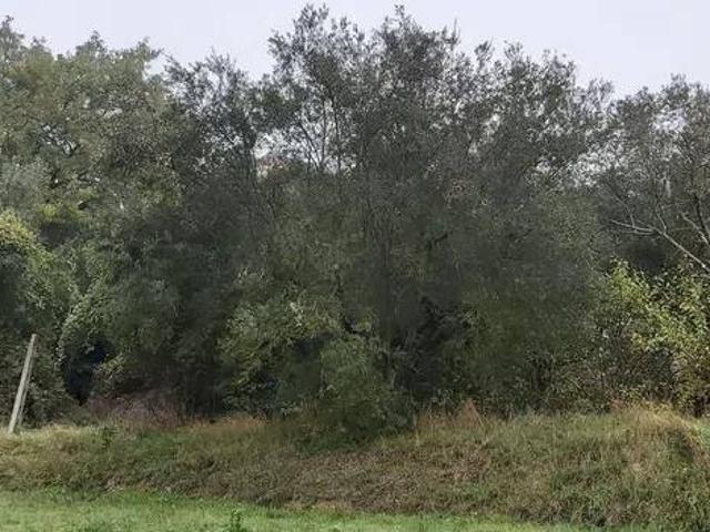 Terreno in vendita a Magione, Umbria