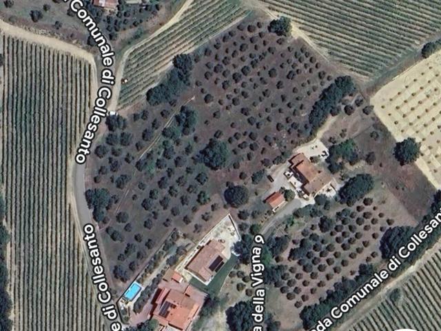 Terreno in vendita a Magione, Umbria