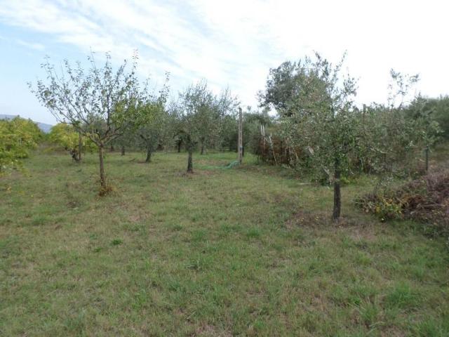 Terreno in vendita a Casenuove, Magione