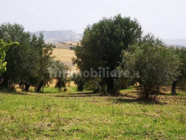 Terreno in vendita a Casenuove, Magione