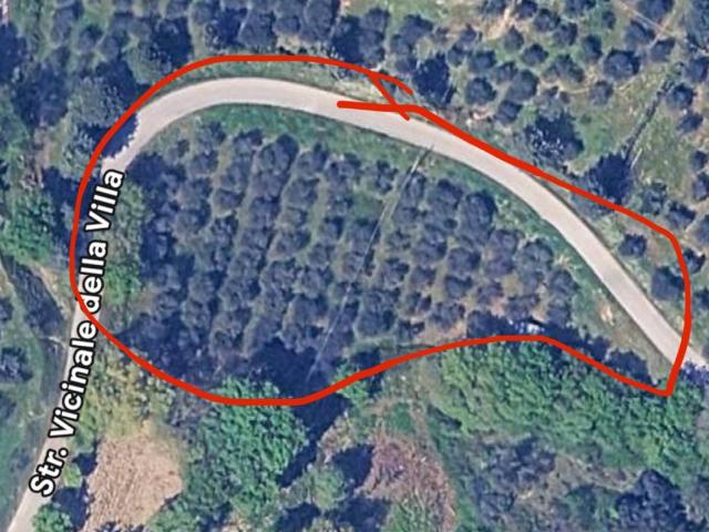 Terreno in vendita a Magione, Umbria