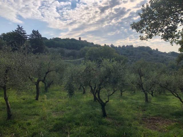 Terreno in vendita a Magione, Umbria