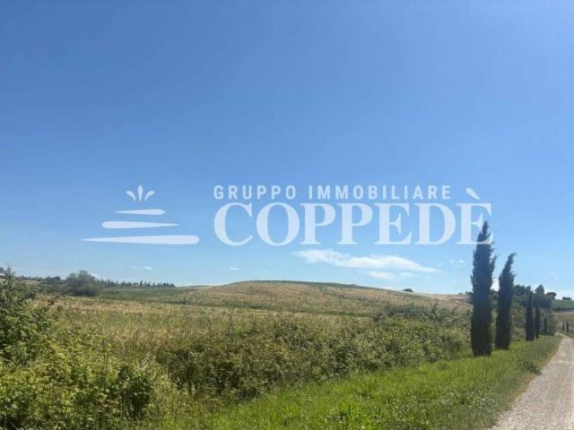 Terreno in vendita a Magliano In Toscana, Toscana