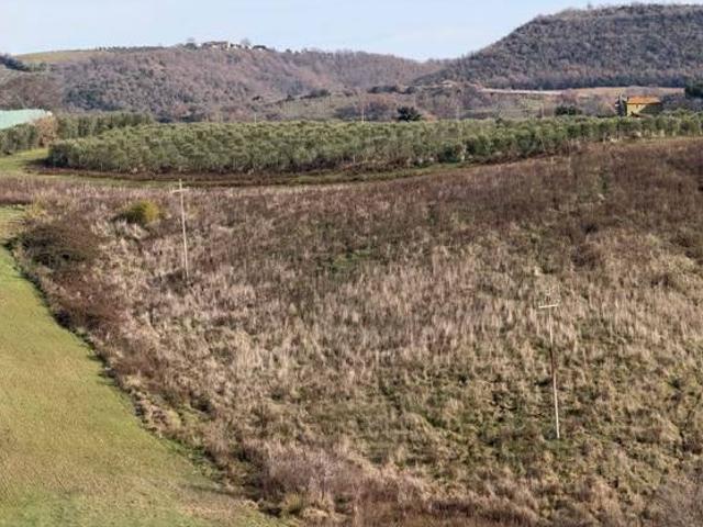 Terreno in vendita a Magliano In Toscana, Toscana