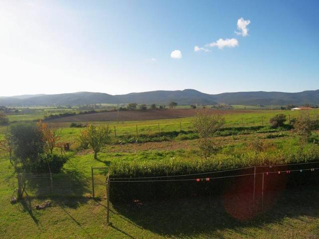 Terreno in vendita a Magliano in Toscana, Grosseto