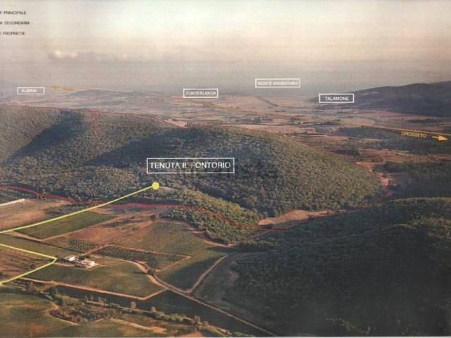 Terreno in vendita a Magliano In Toscana, Toscana