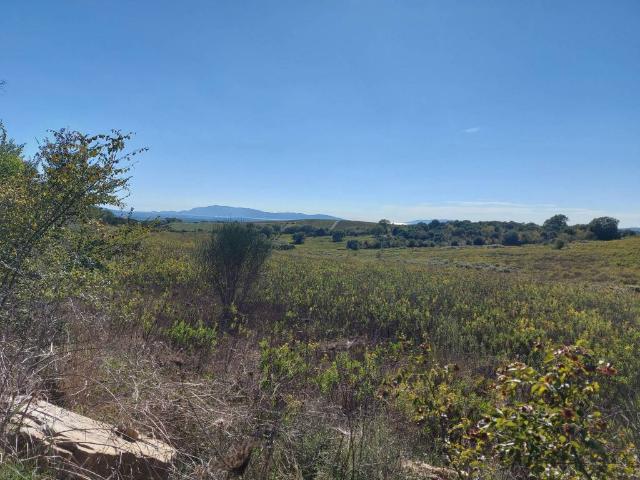 Terreno in vendita a Magliano In Toscana, Toscana