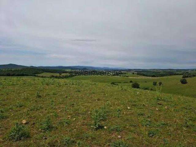 Terreno in vendita a Magliano in Toscana, Grosseto