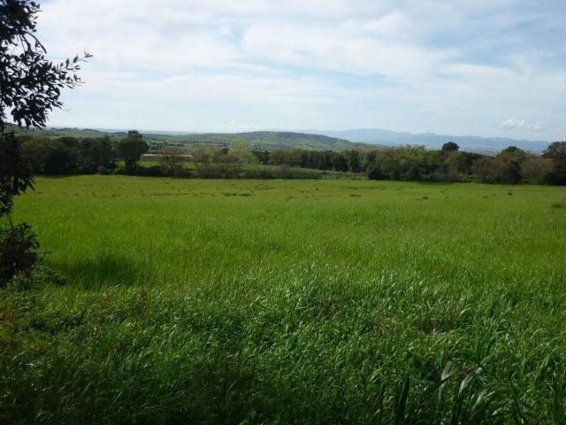 Terreno in vendita a Maiano Lavacchio, Magliano In Toscana